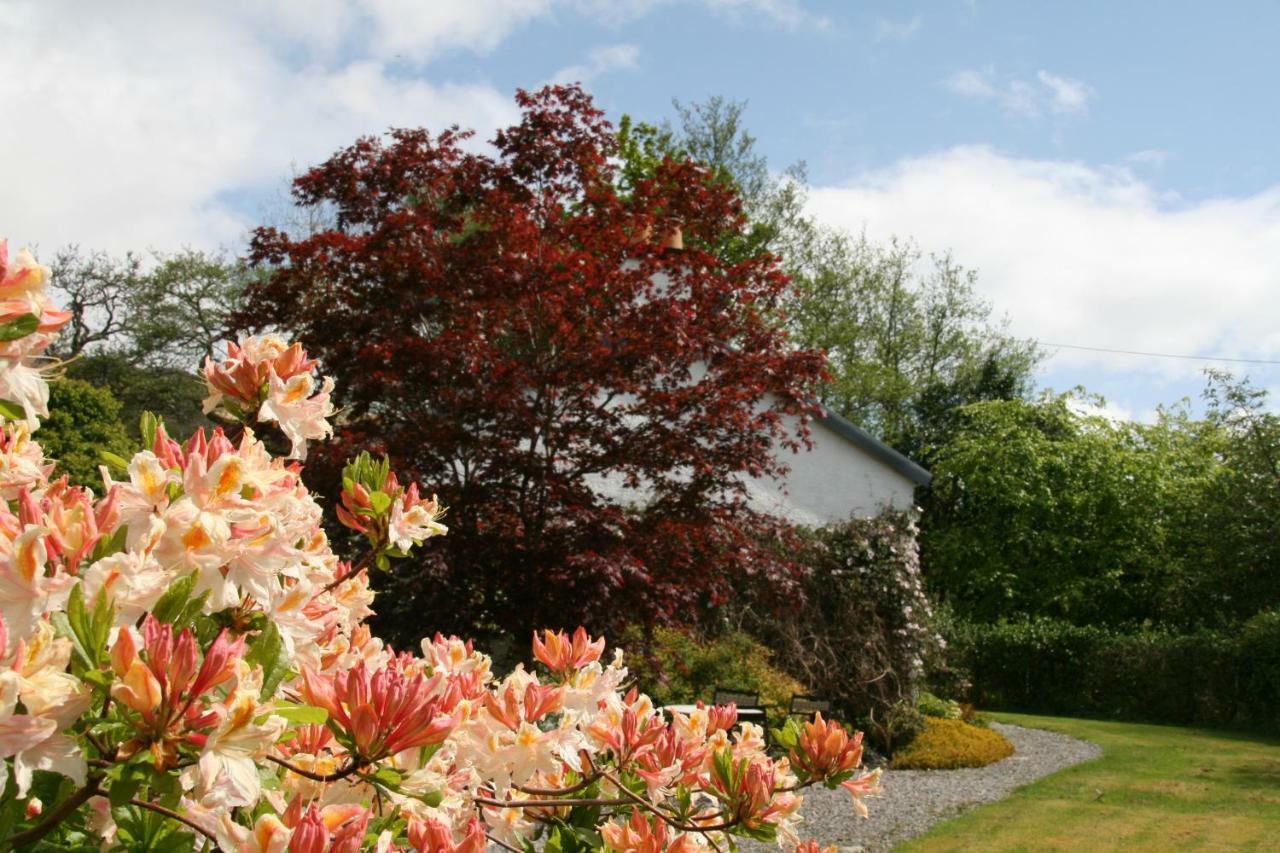 Laich Cottage Appin المظهر الخارجي الصورة